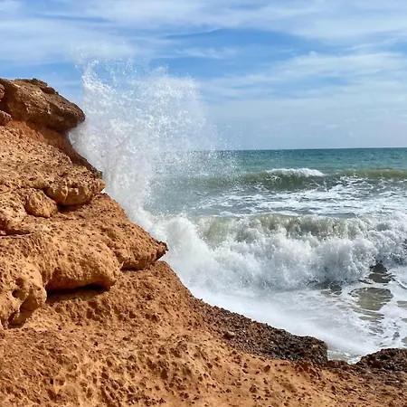 Sandy