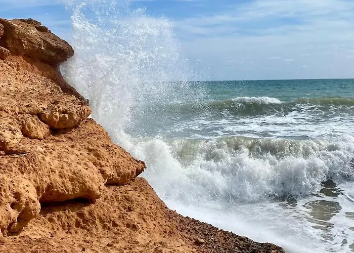 Sandy